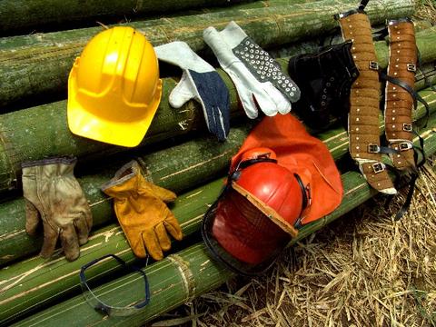 gustavo@guaduacolombia.co - Mob 3125395738 