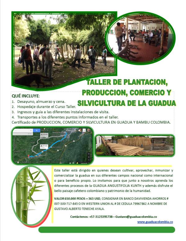 taller comercio produccion y silvicultura de la guadua 16 19 jul 2014