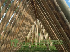 IMG_20170905_152717 (1)