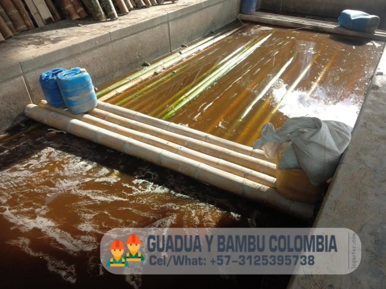 IMG-20190117-WA0065 (1)