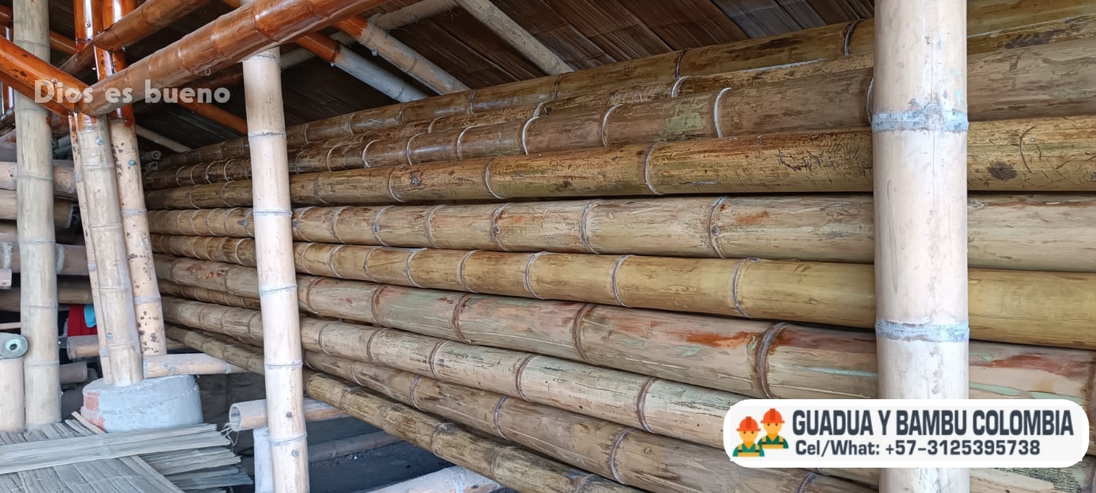 1000233100-wm-30884.800000000745_watermarked